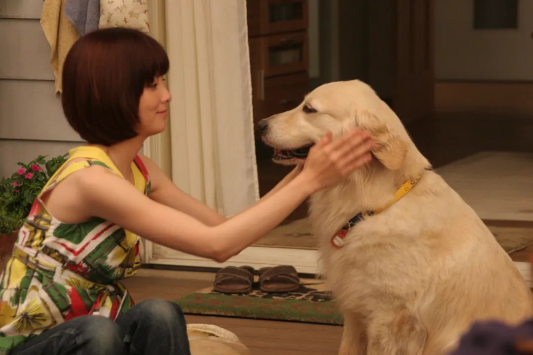 1678951202722817.jpg 1678951202722817.jpg