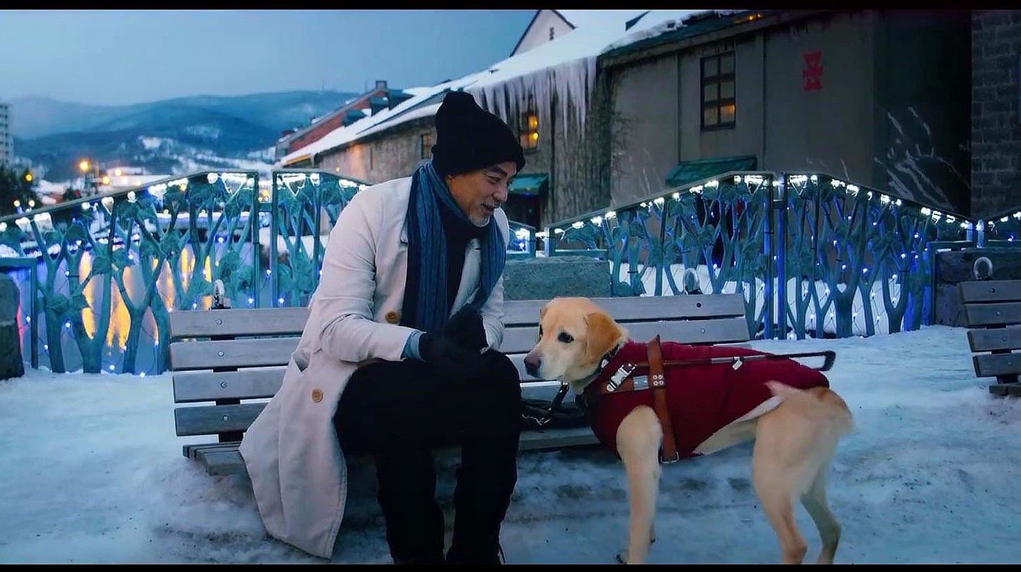 1678951721926724.jpeg 1678951721926724.jpeg