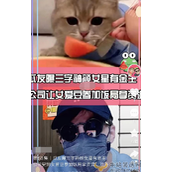 曝女星背后有金主!常被安排参加商务饭局 鞠婧祎景甜躺枪