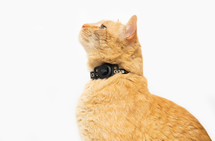 《Tile for Cats》蓝牙追踪器：售价 39.99 美元，猫咪专用的蓝牙追踪器