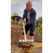 陈佩斯近况曝光!胡须花白卖力下地干农活 曝承包万亩地