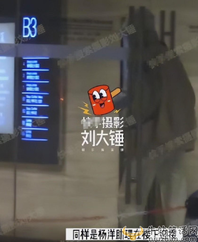 杨洋王楚然是什么关系