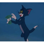 猫鼠队杀疯了是什么梗