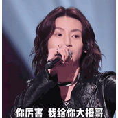 给你大拇哥儿是什么梗
