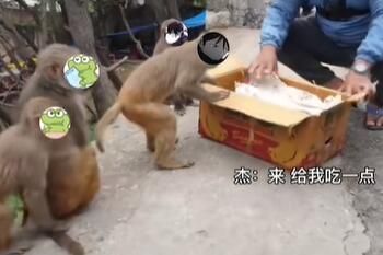 故氏点外卖梗意思介绍