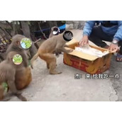 故氏点外卖梗意思介绍