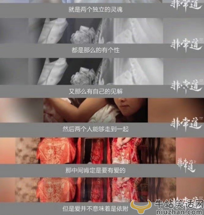 秦昊伊能静感情好吗