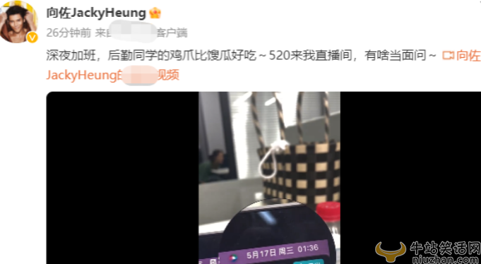 向佐和郭碧婷现状