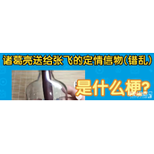 诸葛亮送给张飞的礼物、诸葛亮玩具有限公司是什么梗