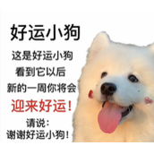 谢谢好运小狗是什么梗
