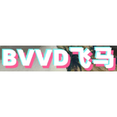 BVVD飞马是什么梗