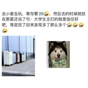 你人还怪好嘞是什么意思-你人还怪好嘞梗介绍