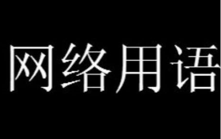 速度与激情family是什么梗