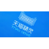 阿里天猫精灵推出AI治理开源数据集