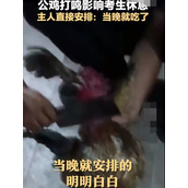 公鸡打鸣影响考生休息：当晚就被主人吃掉！