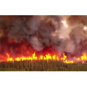 加拿大野火致美国多地空气严重污染！联合国总部首次放弃升旗！