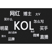 网红自媒体kol是什么意思（如何运营提高KOL）