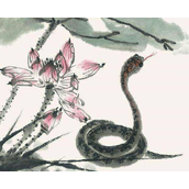 笔底生花指什么生肖猜一个动物，精选解释落实
