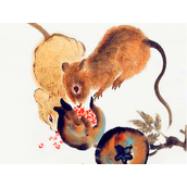 红云飘影千秋歌，金鸡报晓在三更是什么生肖，词语解释落实