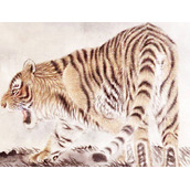 牛马羊猪有希望，天生却是红屁股打一生肖，词语解释落实