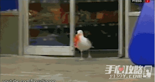 去码头整点薯条梗的意思介绍