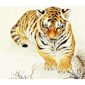 一束阳光金灿灿是什么生肖猜一个动物，精选解答落实