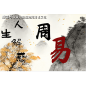 炫五光十环旺二五头打一个生肖动物，精选解释落实