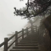 前车之鉴打一生肖代表什么生肖，精选解释落实