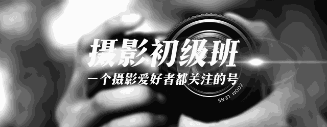 拍摄手机背景虚化的技巧（手机后期虚化背景）