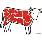 绿色品质健康好牛肉（品质牛肉品质生活）