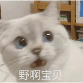 土菜摆明档菜品教程（肉档老板教我的绝味菜）