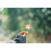 10月5日 天秤座 生日密码