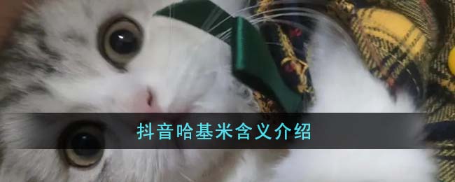抖音哈基米含义说明