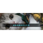 抖音哈基米含义说明