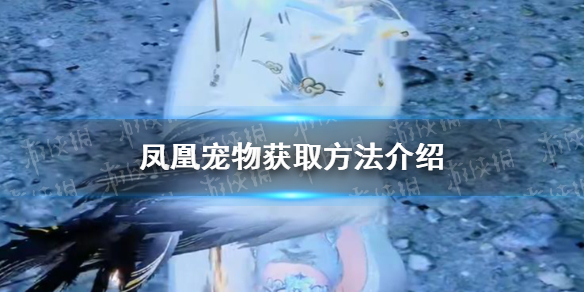 本站1