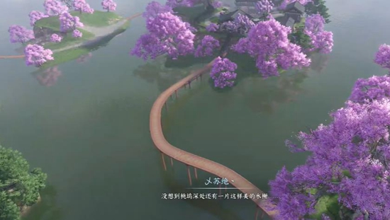 本站5