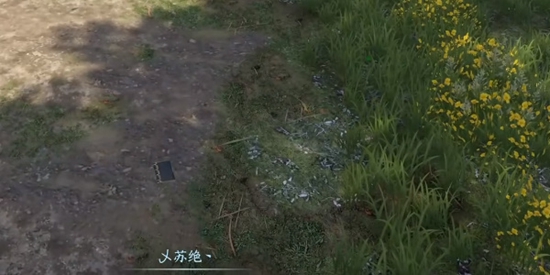 本站4