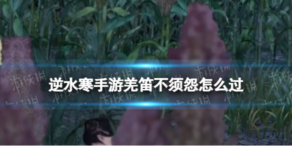 本站1