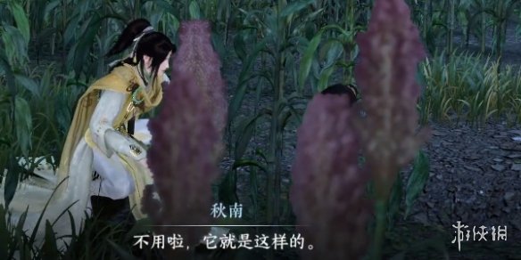 本站4