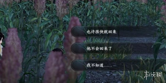 本站5