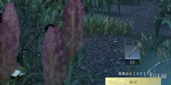 本站6