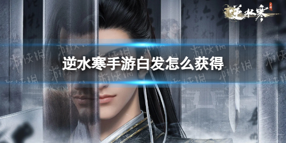 本站1