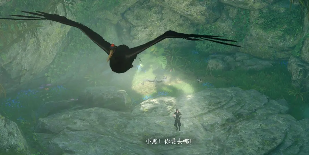 本站13