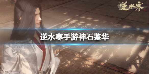 本站1