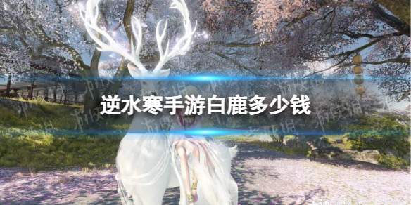 本站1
