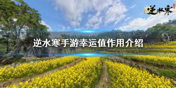 本站1