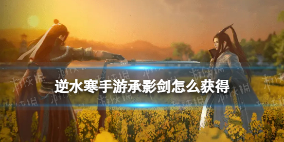 本站1
