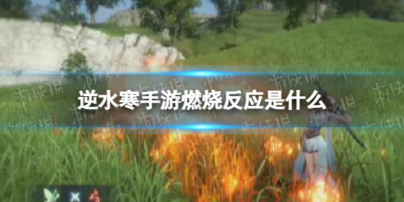 本站1