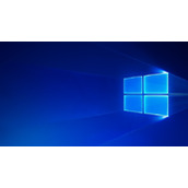 微软员工薪水大曝光：高的让人羡慕！用户直言：Win12能给力吗
