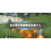 《逆水寒手游》燃烧反应是什么 燃烧反应介绍